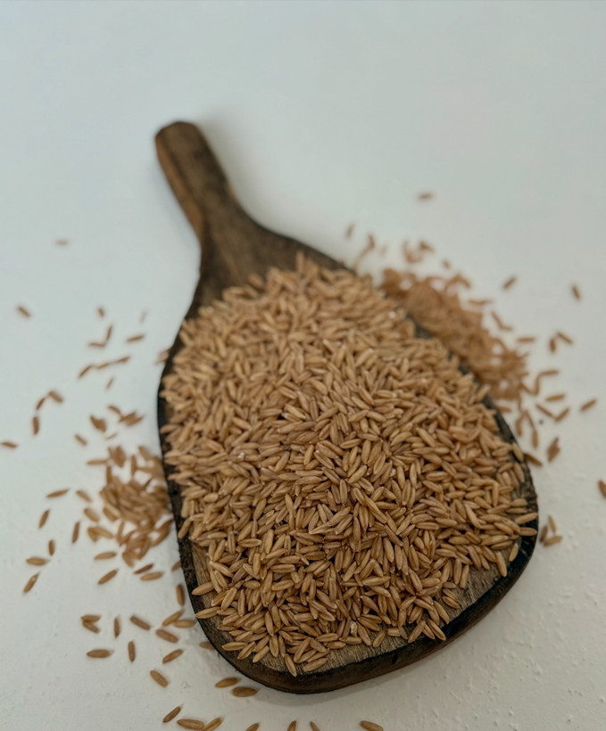 جو یولایف اسپانیایی
