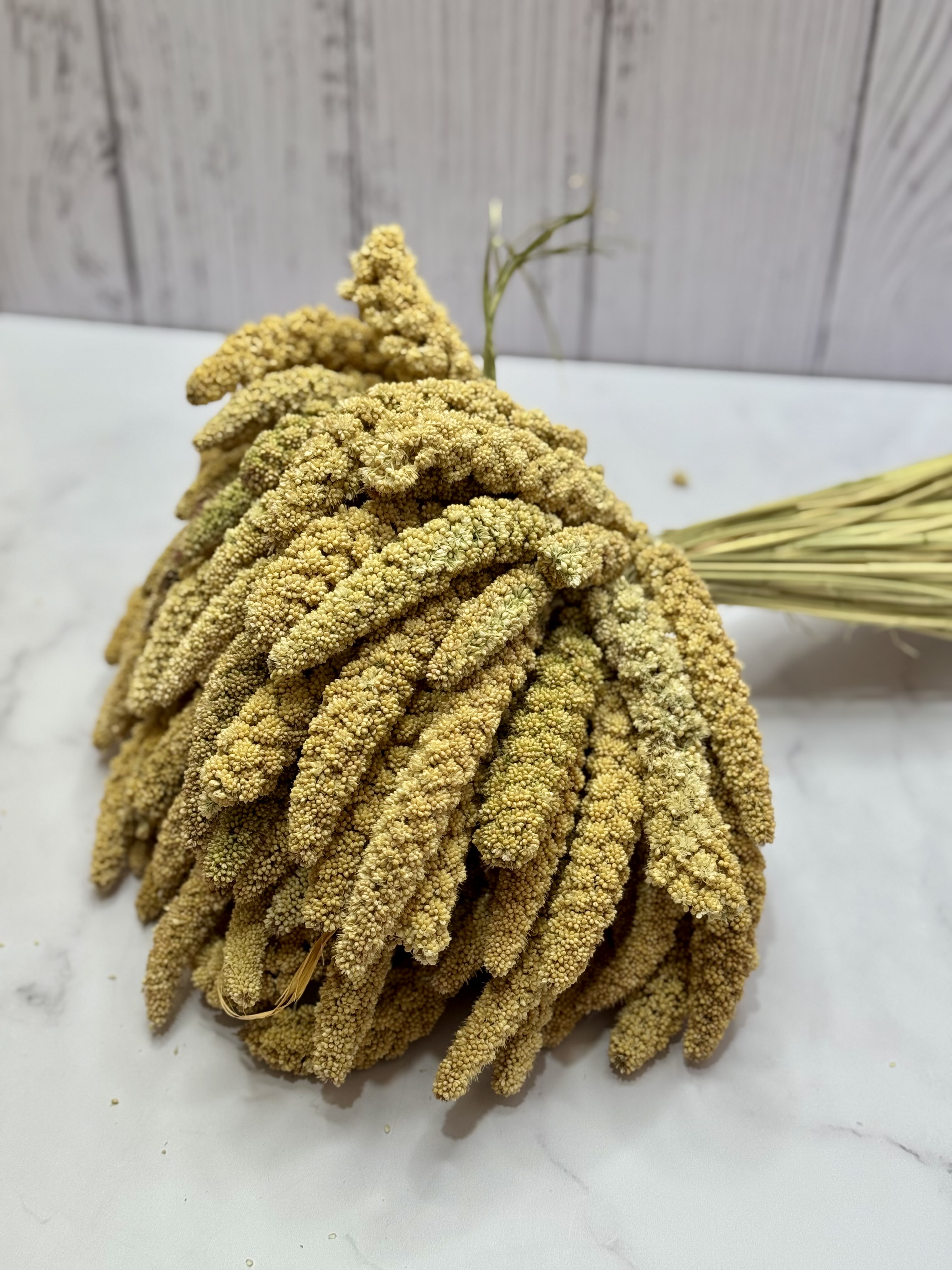 ارزن خوشه ای