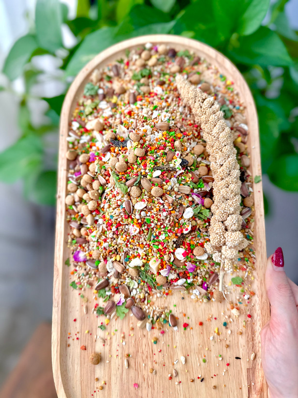 دان مخصوص طوطی متوسط و بزرگ جثه (شاه طوطی٫کاسکو و..)